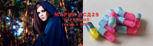 спайс Алзамай