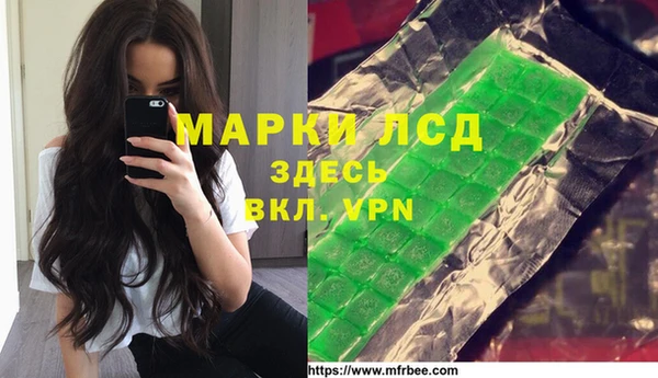 спайс Алзамай